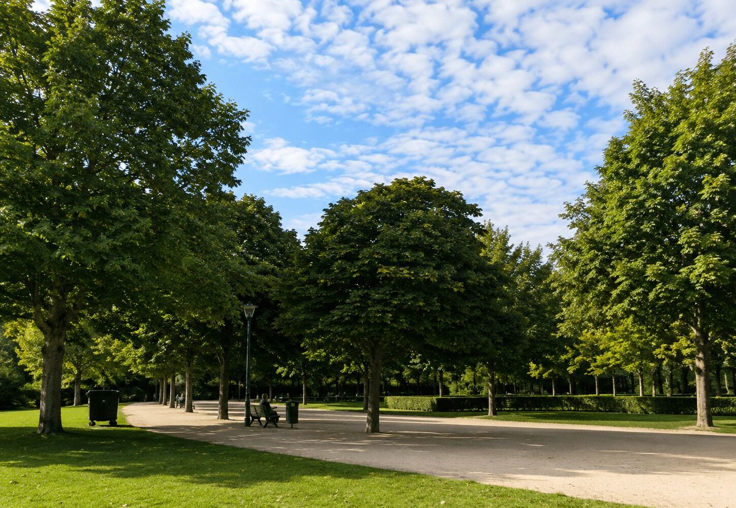 Tree-lined path in an Amsterdam park with a bench and a person sitting under summer foliage