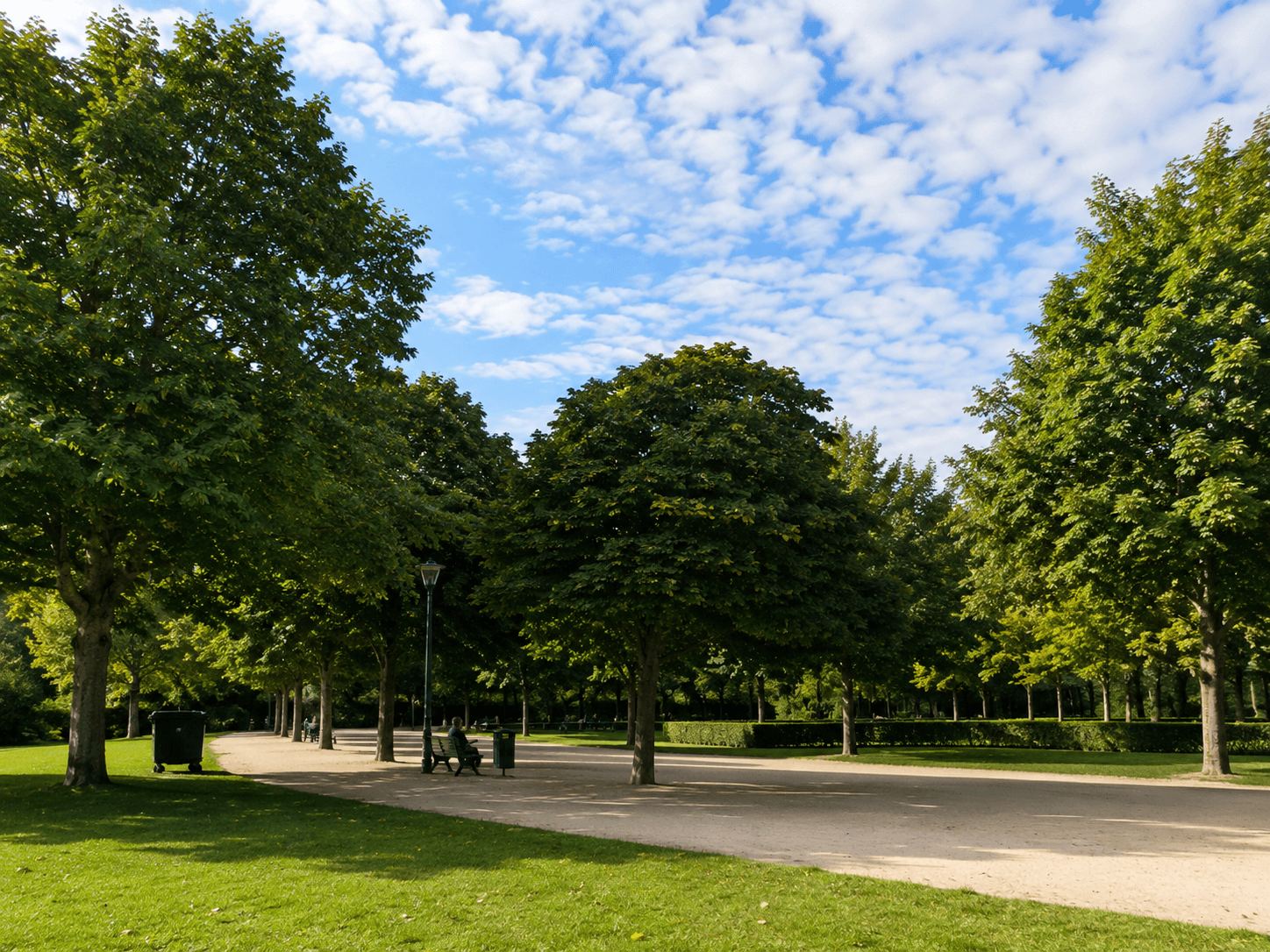 A Quiet Corner of an Amsterdam Park Tree-lined path in an Amsterdam park with a bench and a person sitting under summer foliage