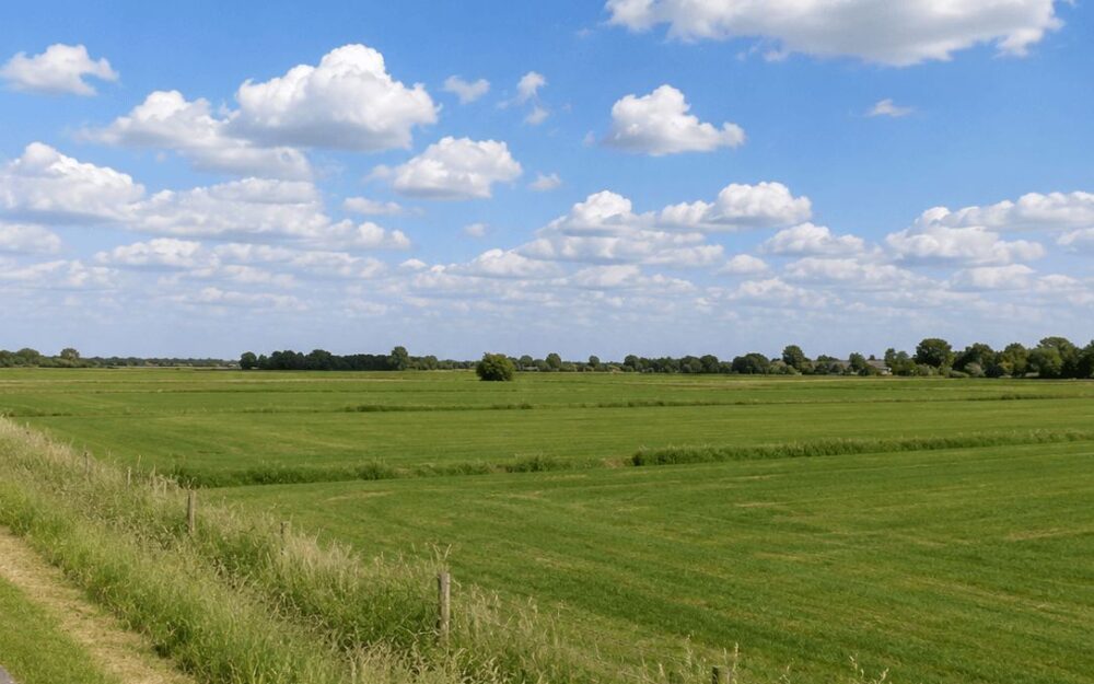 Paved cycling path running alongside open green polder farmland under a wide blue sky with clouds