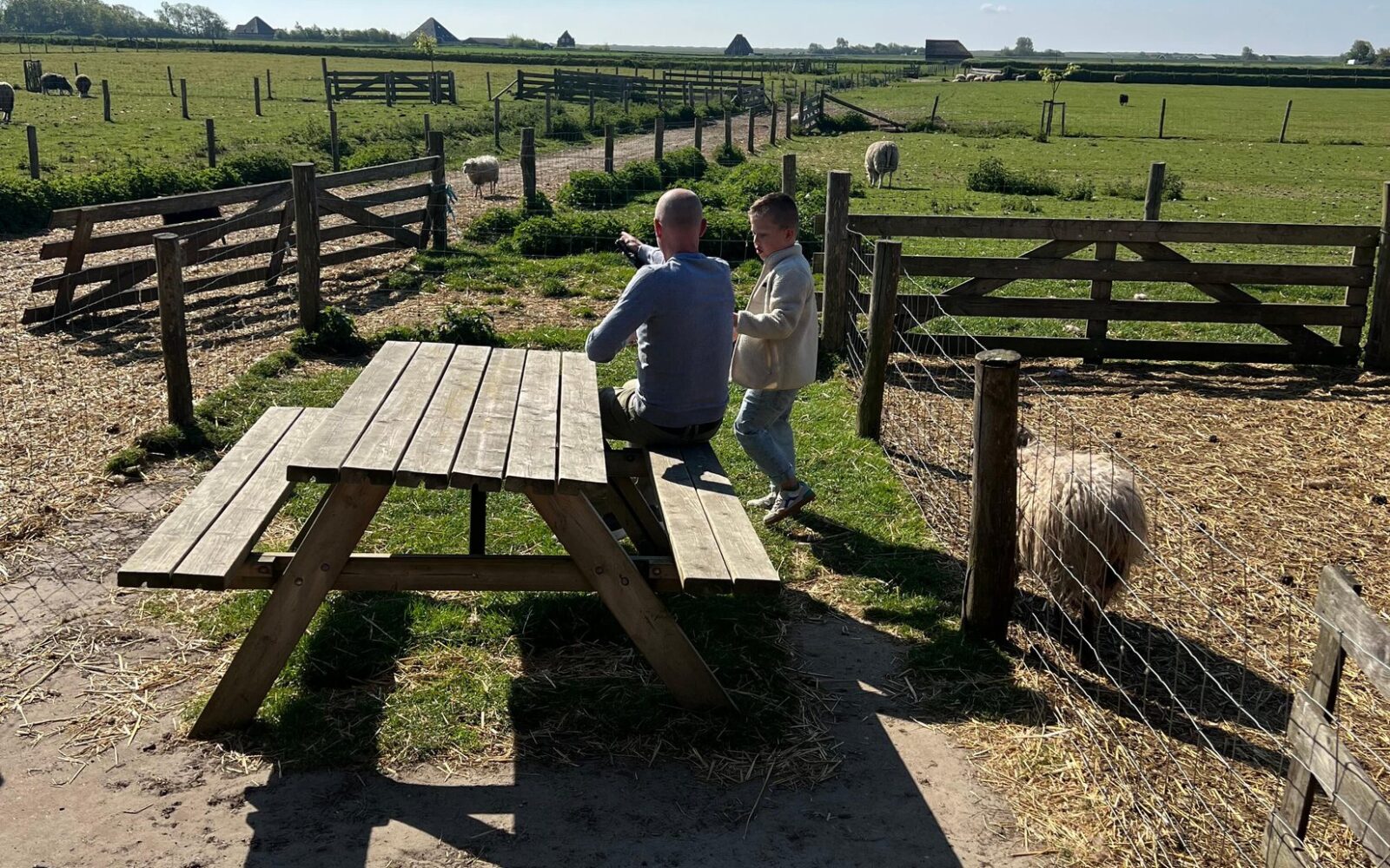 Adult and child looking across the sheep fields at Schapenboerderij Texel