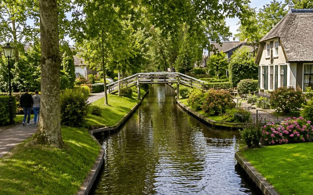 Narrow Giethoorn canal with ducks swimming beside a thatched-roof house and wooden footbridge
