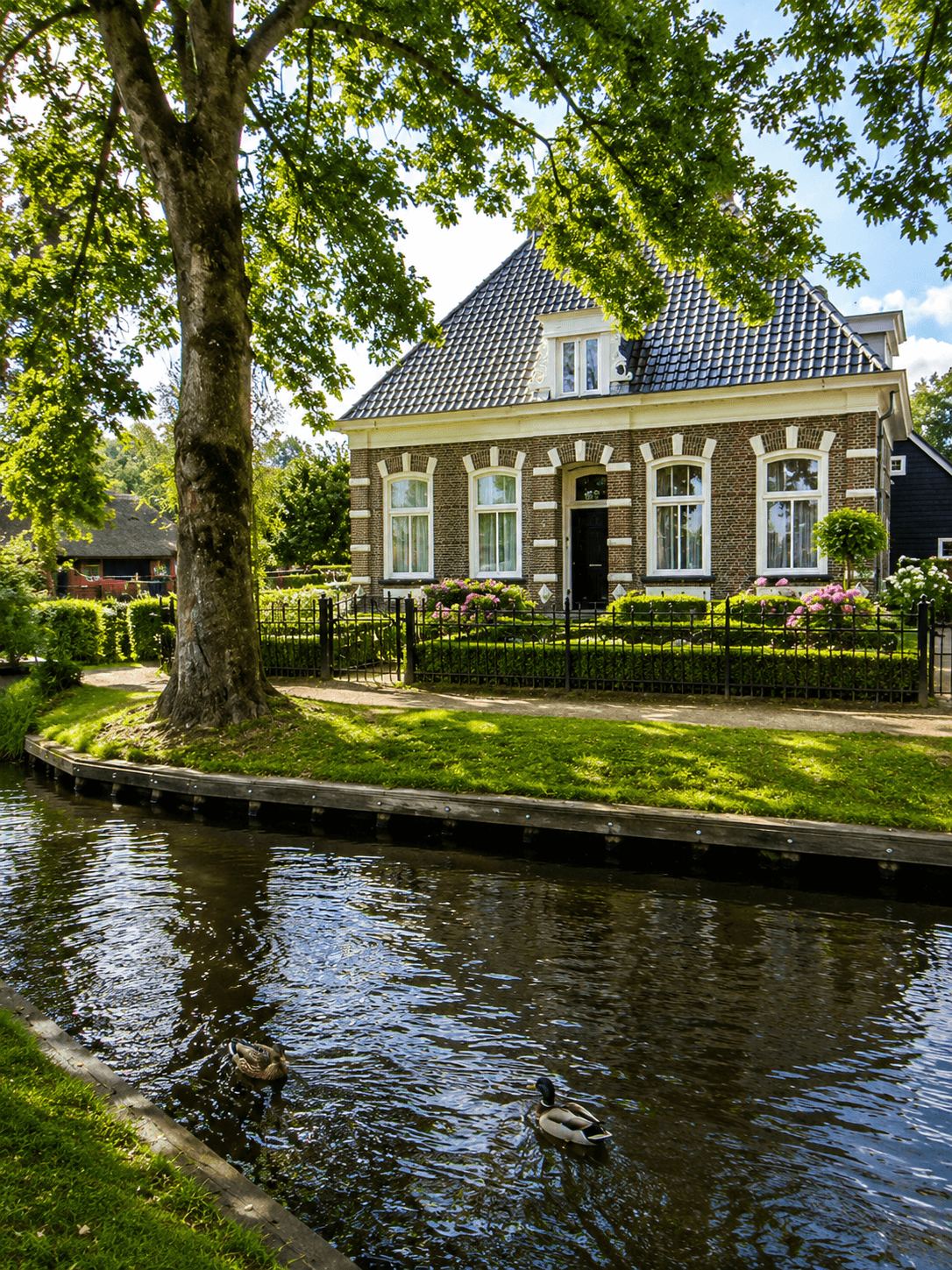 Traditional brick house with a garden beside a Giethoorn canal with ducks swimming past