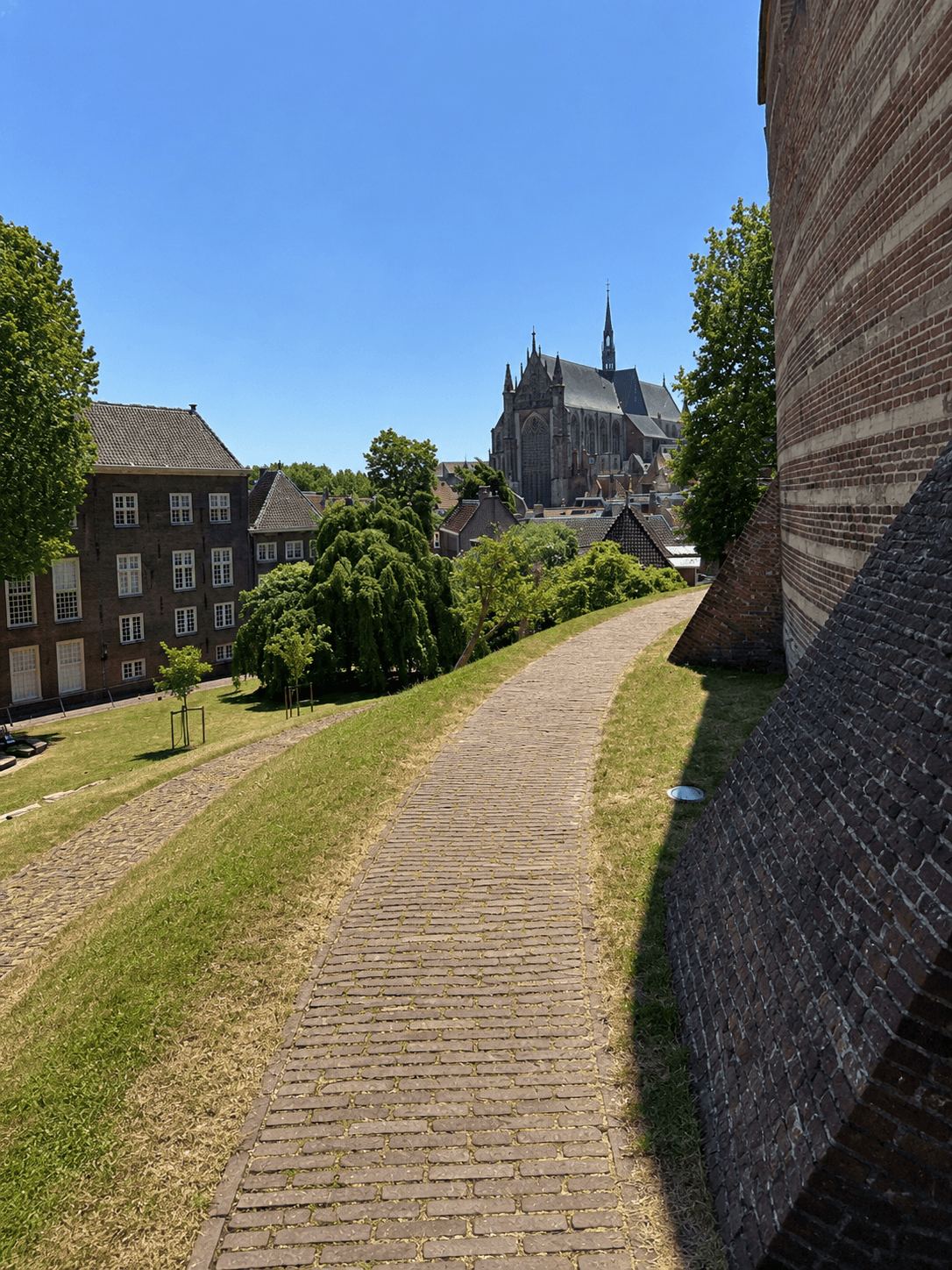 View From the Burcht Mound Toward the Hooglandse Kerk View from the Burcht van Leiden mound across rooftops toward the Hooglandse Kerk tower