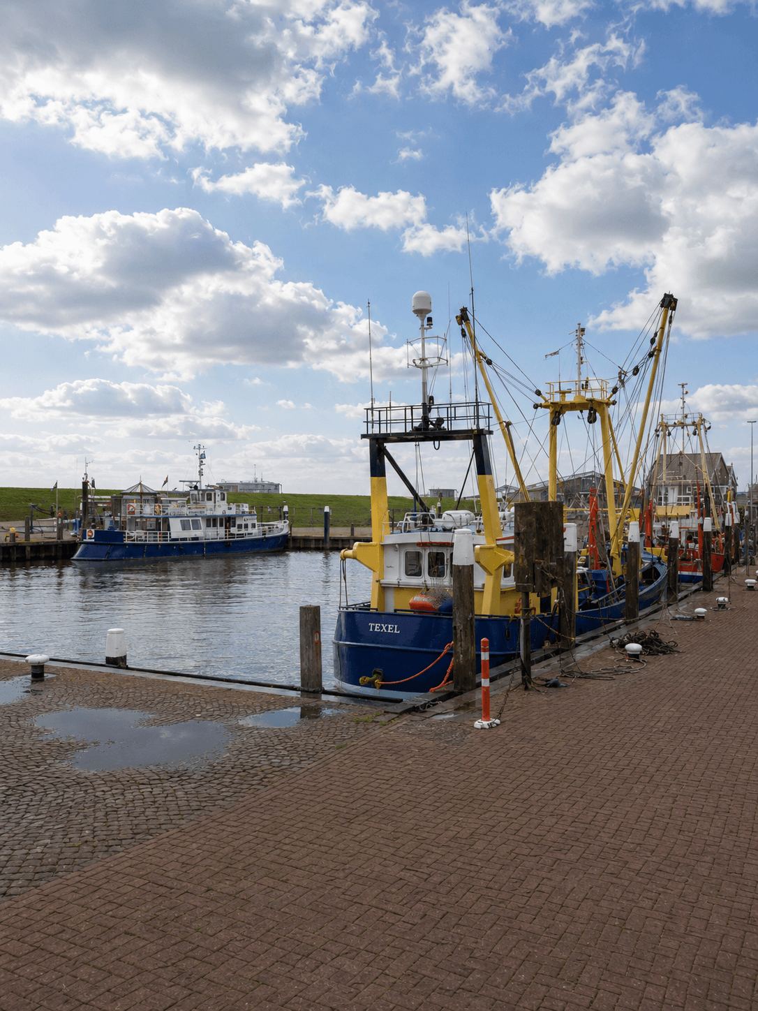 Blue and yellow fishing trawler named Texel moored in a Wadden Sea harbour