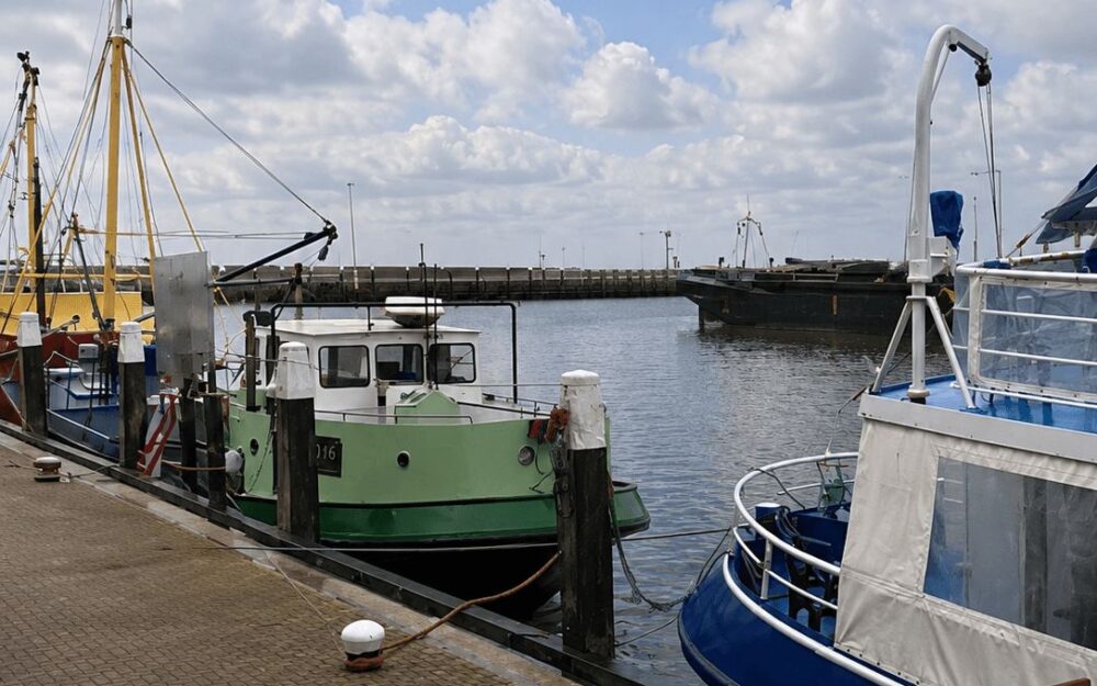 Traditional fishing boats and a passenger boat moored together in a Texel harbour