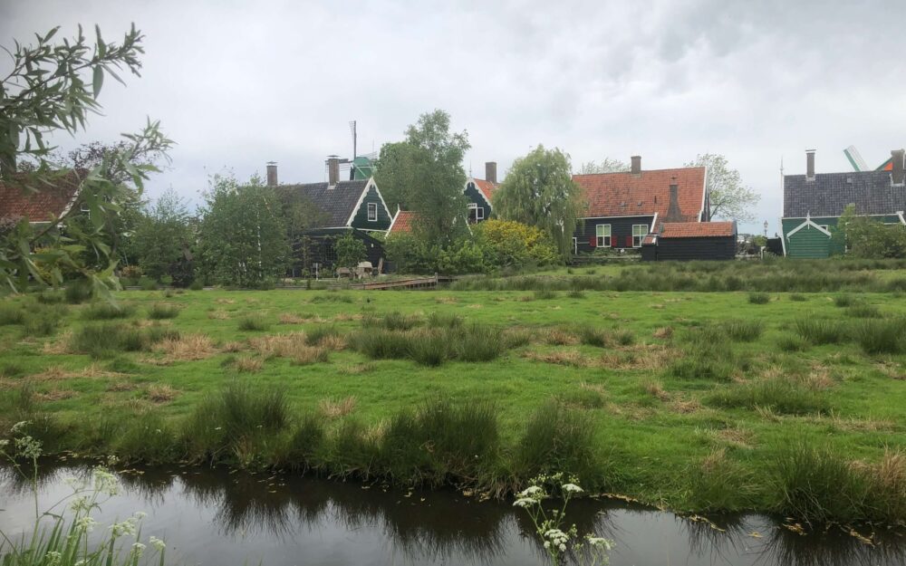Green wooden houses across a wet meadow at Zaanse Schans under grey skies