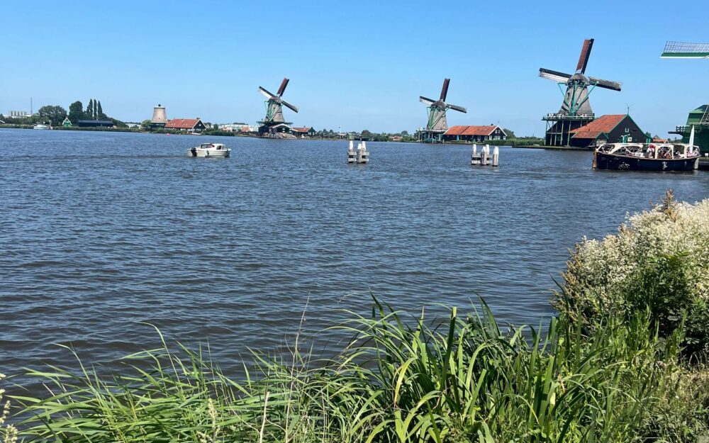 Several windmills at Zaanse Schans viewed from across the River Zaan